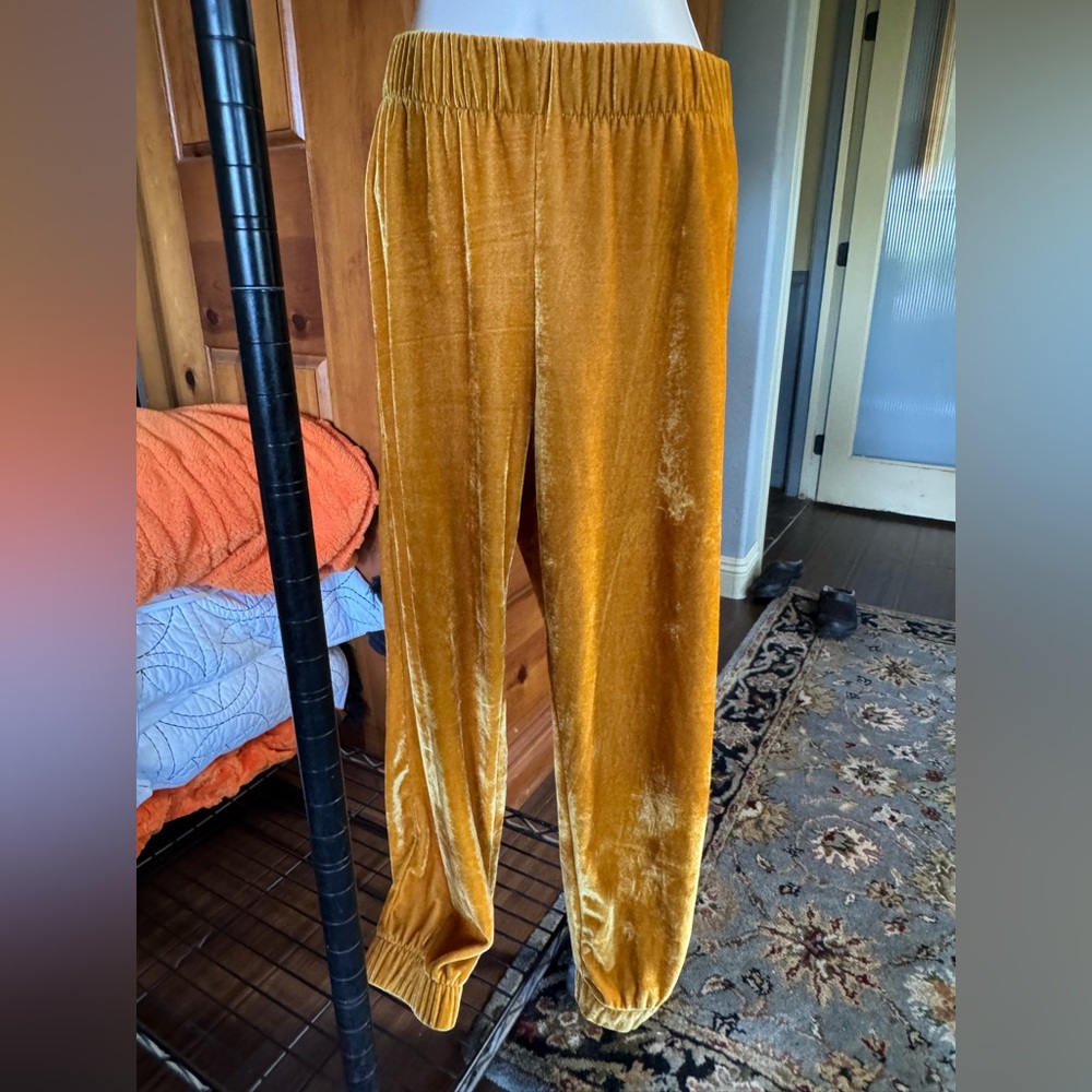Urban Outfitters Mustard Gold Velvet Joggers M/L.. NWT